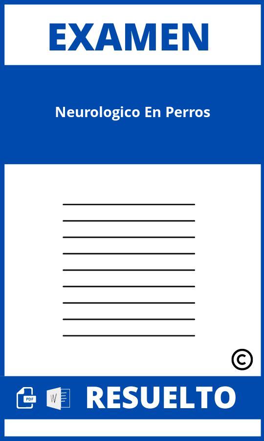 Examen Neurologico En Perros